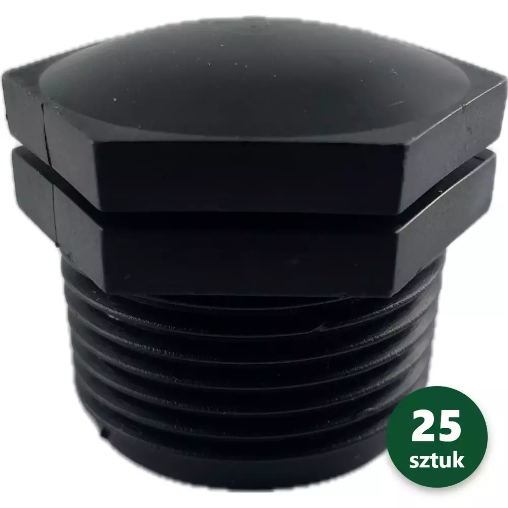 Zaślepka 1" AG 1