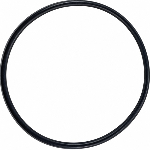 Oring do pompy 72.69x2.62 1