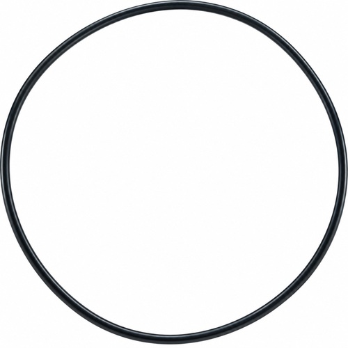 Oring 145.72x2.62 1
