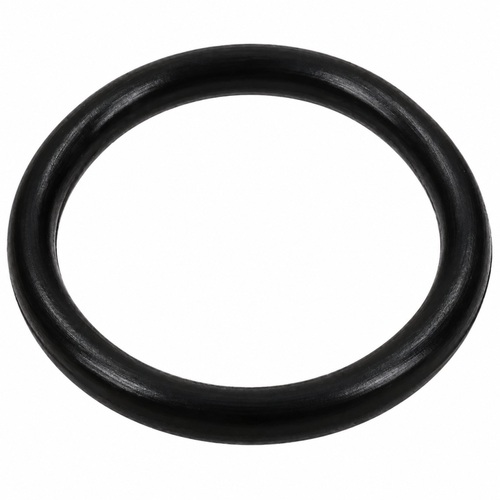 Oring 113.97x2.62 1