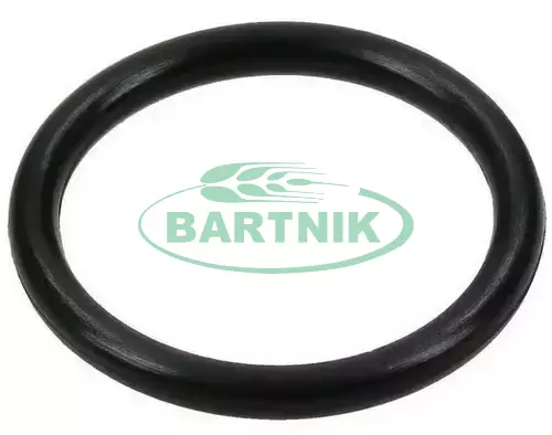 Oring 113.97x2.62 1