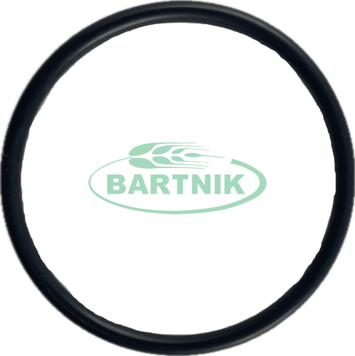 Oring 39.3x2.62 1