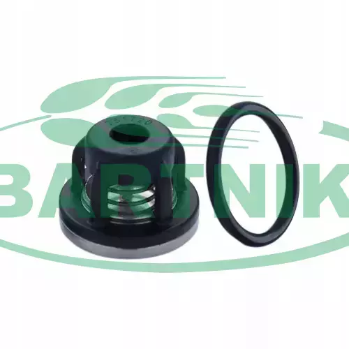 Zaworek pompy BP 2114 1