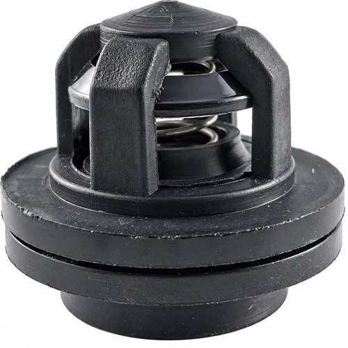 Zaworek pompy P-120 Biardzki 1