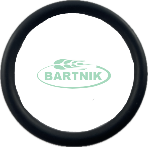 Oring 31x3.4 do zaworka ZETA 1