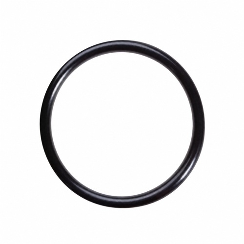 Oring D18 1