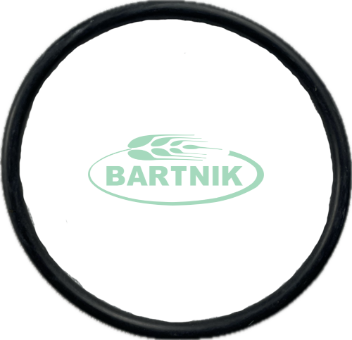 Oring odstojnika 1