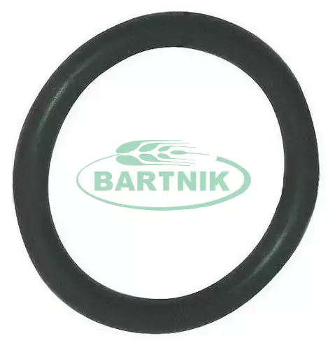 Oring 20.24x2.62 1" 1