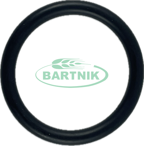Oring zaworka AR 31.5x4.25 1