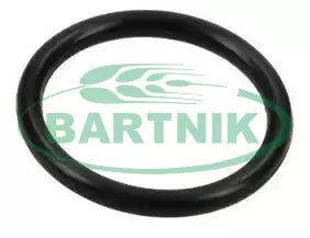 Oring 9.19x2.62 1