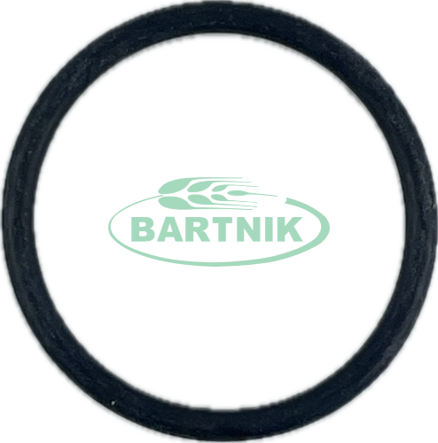 Oring 2.62x29.82 1