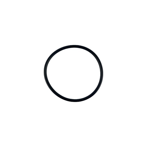Oring filtra ssącego 2" 1