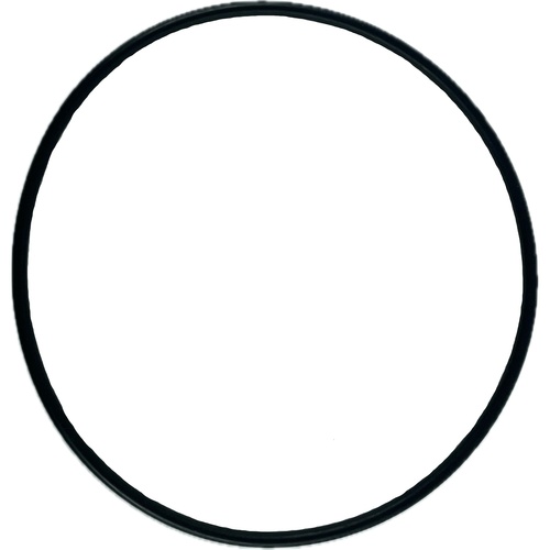 Oring 101.27x2.62 1