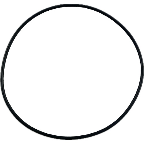 Oring 113.97x2.62 1
