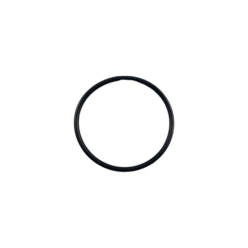 Oring 124.61x6.99 1