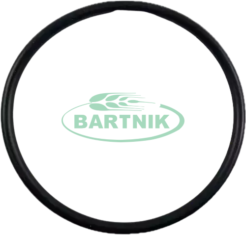 Oring 124.61x6.99 1