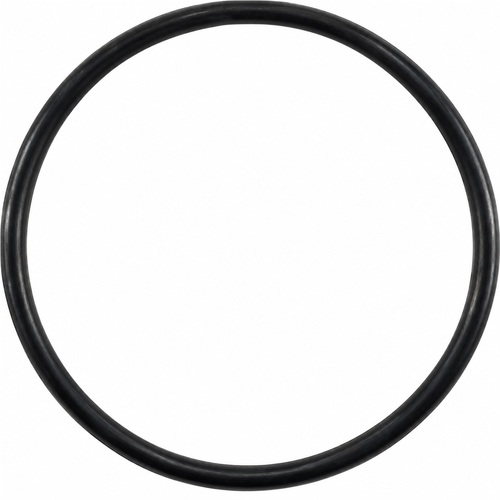 Oring do filtra ssącego 2" 125x7 1
