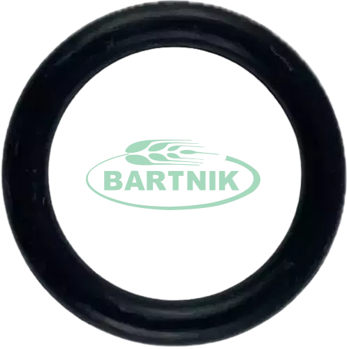 Oring 19x3.5 1