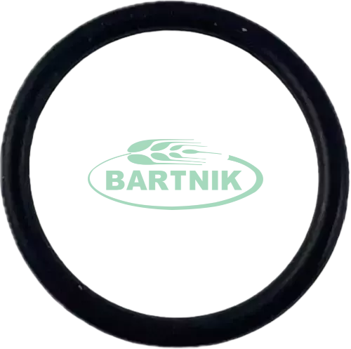 Oring 25x2.62 1