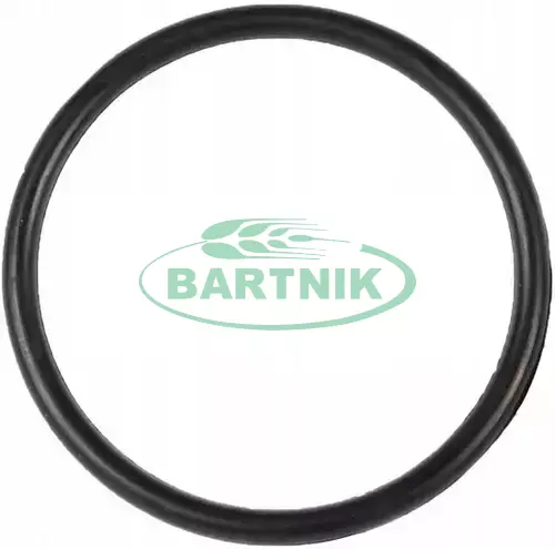 Oring 27.80x2.50 1