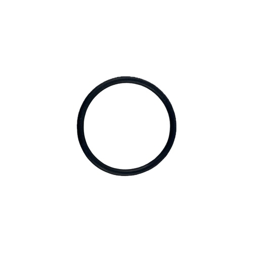 Oring 29x2.5 1