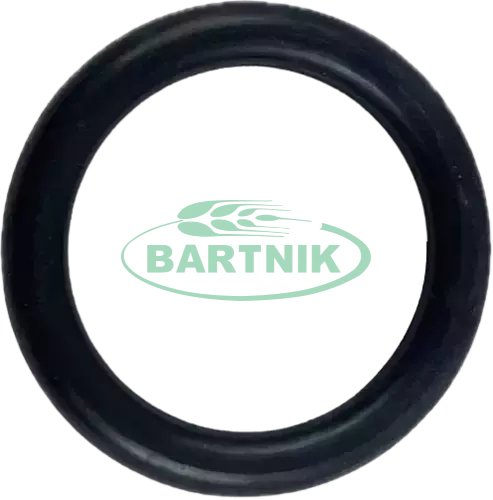 Oring 31.20x5.70 1