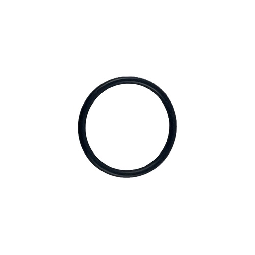 Oring 31x3 1