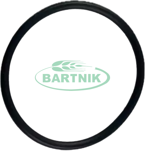 Oring zaworu 37.77x2.62 1