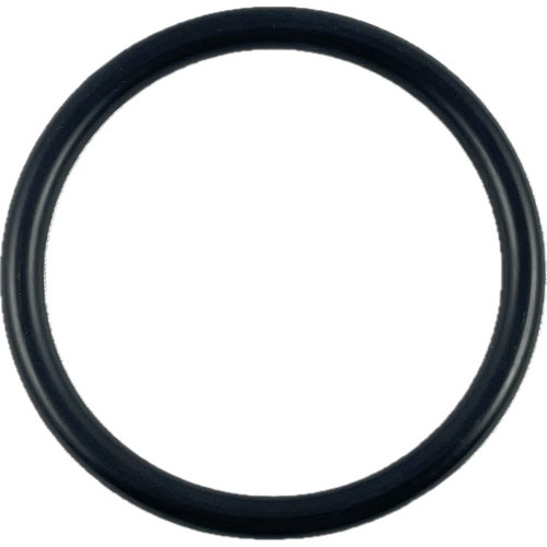 Oring 54.20x5.70 1