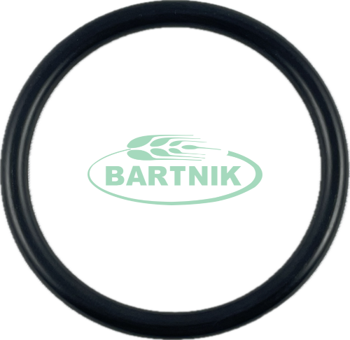 Oring 54.20x5.70 1