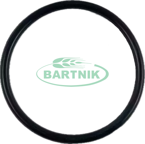 Oring 60x4 1