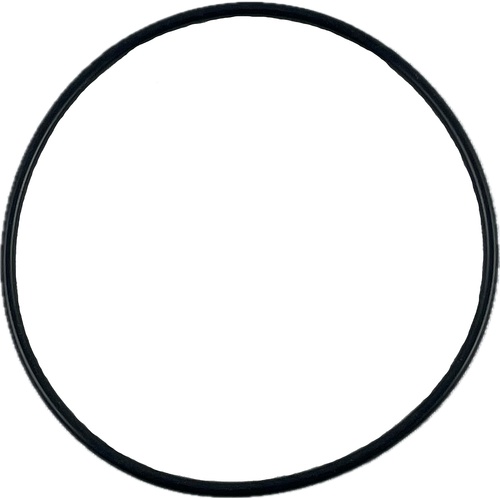 Oring 61x2 1