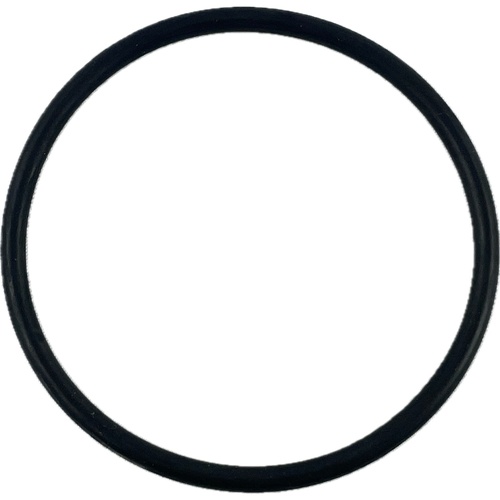 Oring do klosza RAU 1