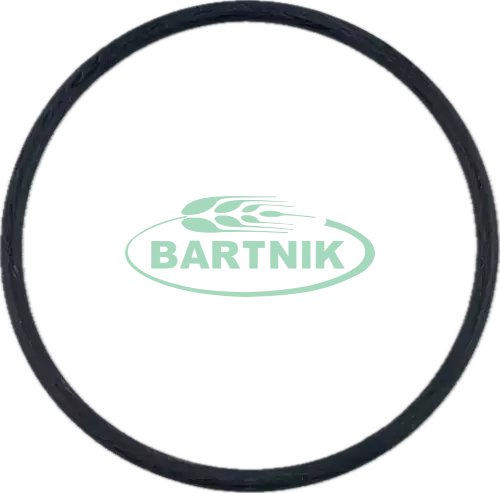 Oring 74.61X3.53 1