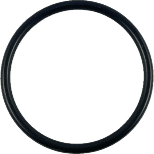 Oring 75x5.5 1