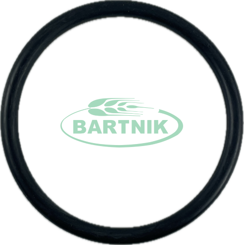 Oring 80x6.5 1
