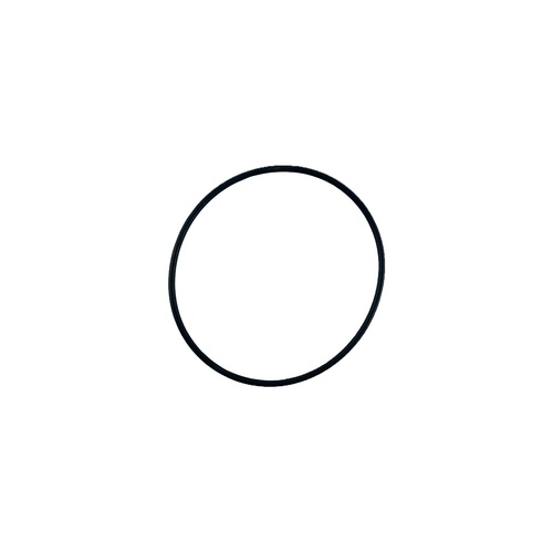 Oring 89x3 1