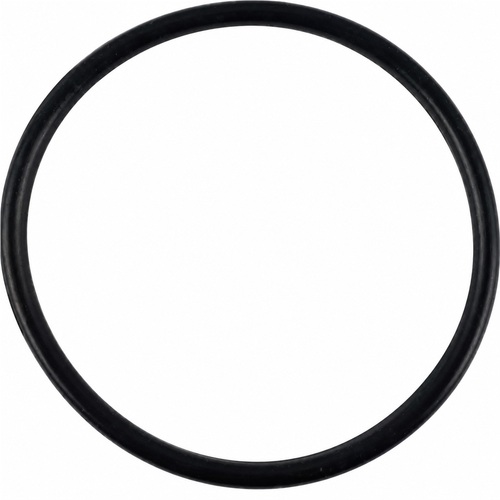 Oring 98.02x3.53 1