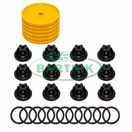 Zestaw naprawczy pompy Bertolini POLY 2250,2260,2300 1