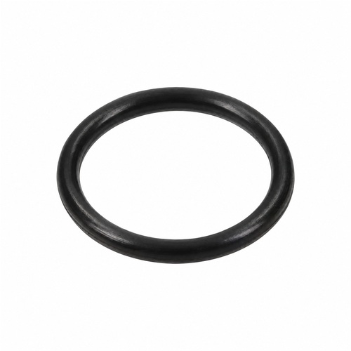 Oring pompy Kappa 125 1