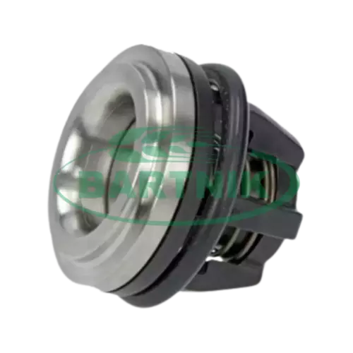 Zaworek pompy Annovi Reverberi 43133 1