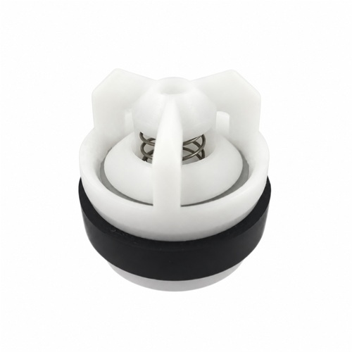 Zaworek pompy RAU 1