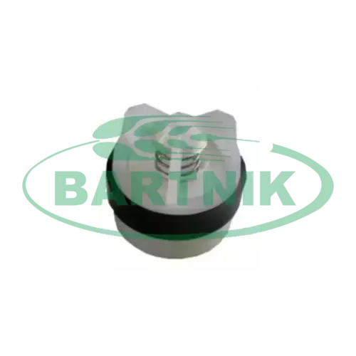Zaworek pompy zamiennik RAU SP 1