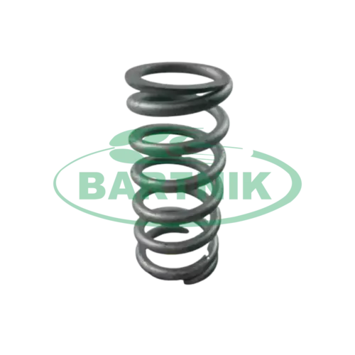 Sprężyna zaworu 1