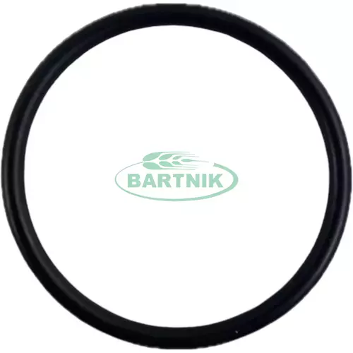 Oring 38x3.5 1