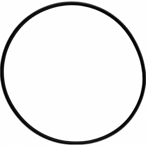 Oring 75.92X1.78 1