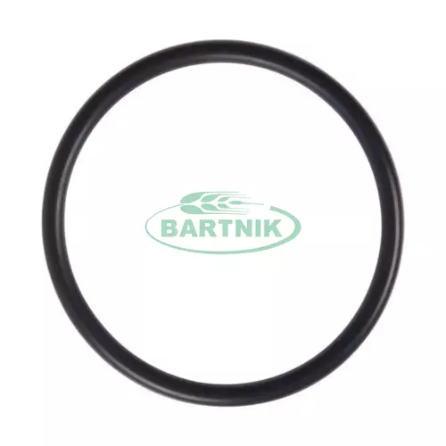 Oring zaworka RO 320 1