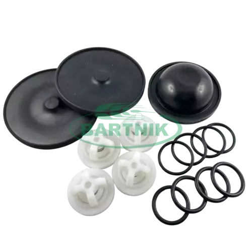 Zestaw naprawczy pompy Monsun P100 polowa 1