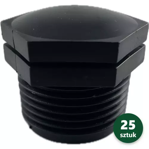 Zaślepka 1" AG 1