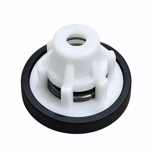 Zaworek pompy Imovilli 1